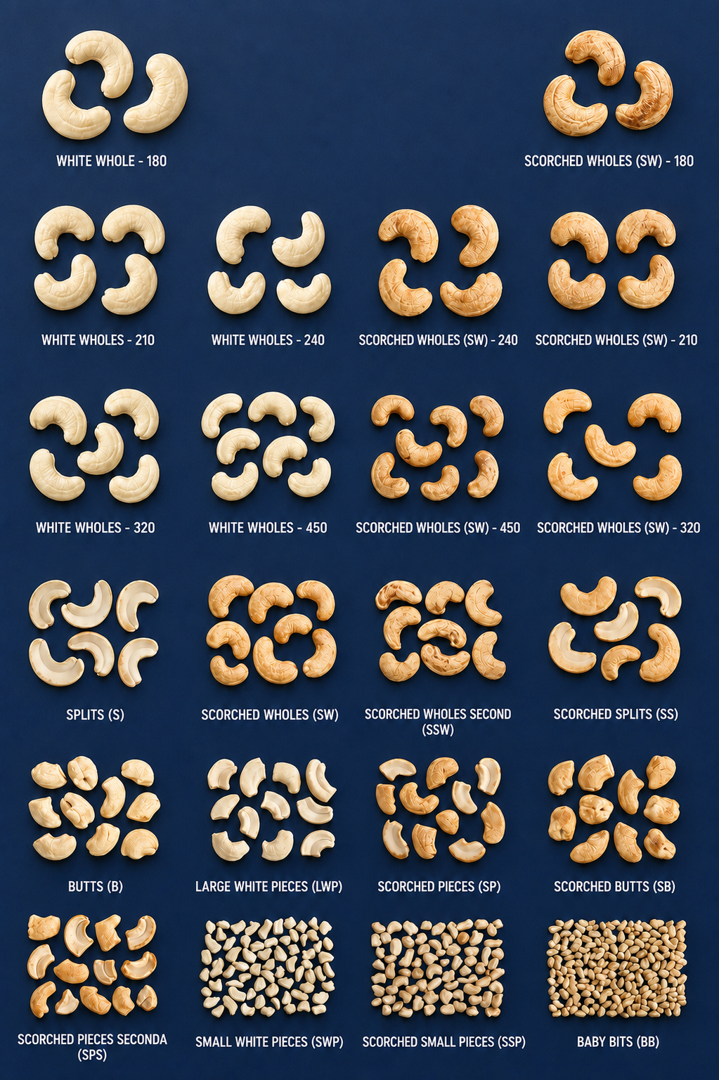 Cashew grade reference chart: white wholes, scorched wholes, splits, butts, pieces and baby bits